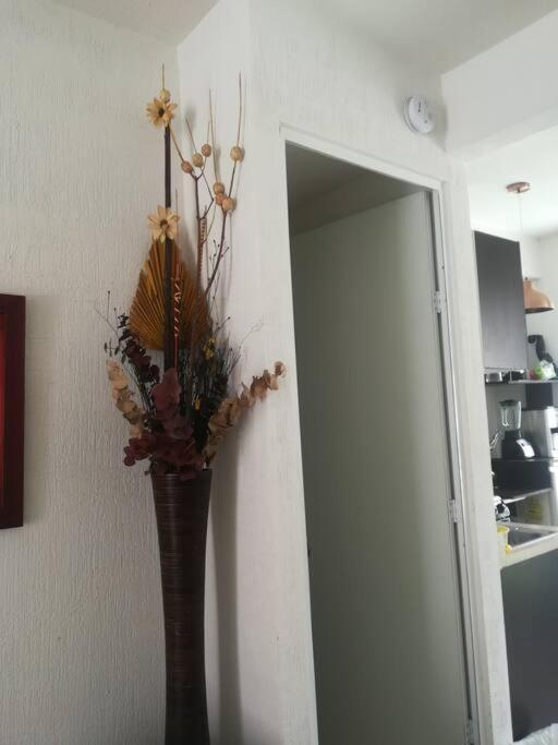 Privadas Turquesa, Nombre Del Alojamiento "Casa Niza Cancun" Kültér fotó